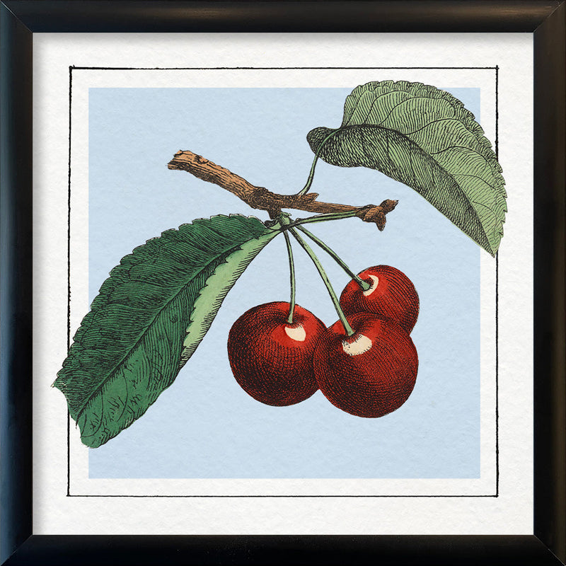 Cherries. Mini Print