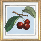 Cherries. Mini Print