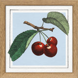 Cherries. Mini Print