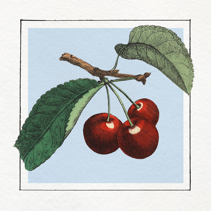 Cherries. Mini Print