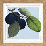Plums. Mini Print