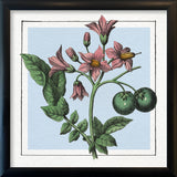 Potatoes. Mini Print