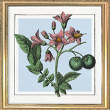 Potatoes. Mini Print