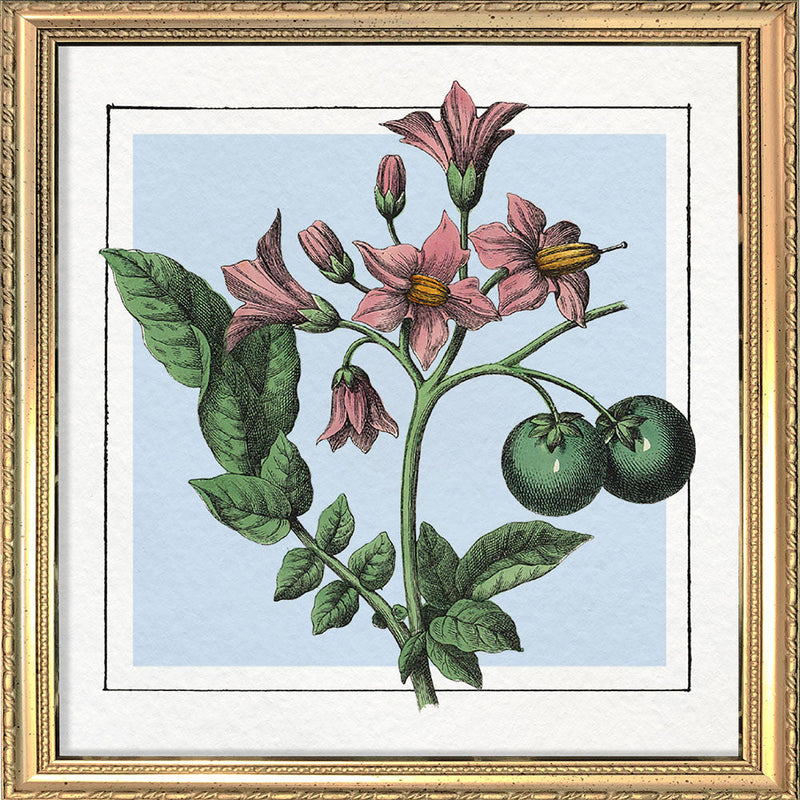 Potatoes. Mini Print