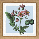 Potatoes. Mini Print