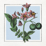 Potatoes. Mini Print