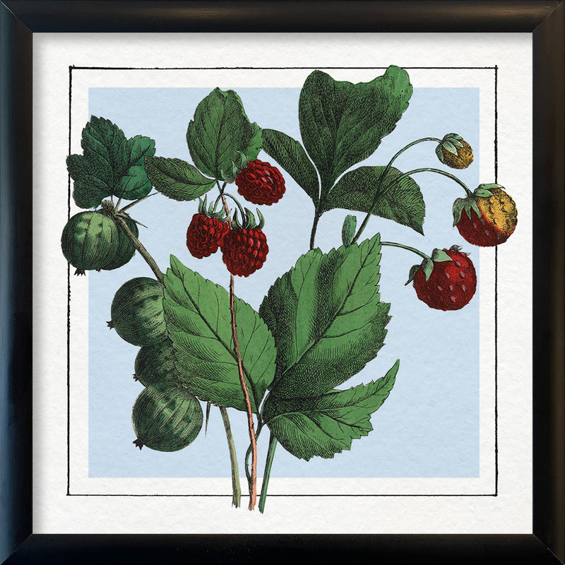 Strawberries. Mini Print