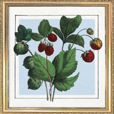 Strawberries. Mini Print