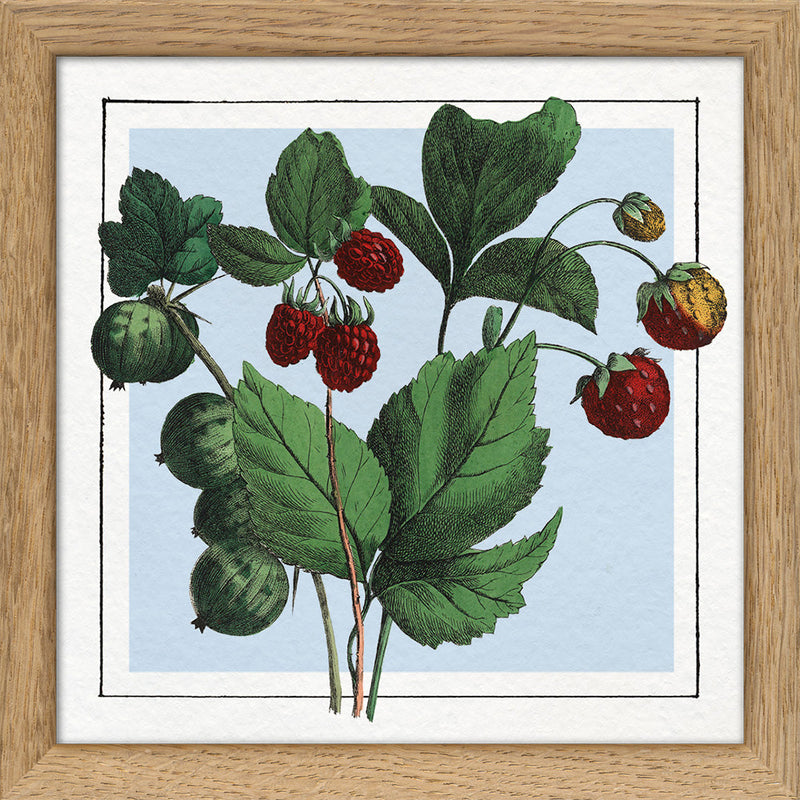 Strawberries. Mini Print