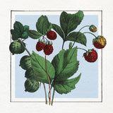 Strawberries. Mini Print