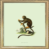 Orange Monkey. Mini Print