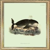 Whale. Mini Print