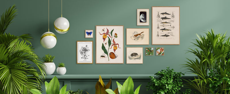 Blue Butterfly. Mini Print