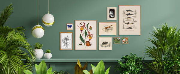 Detail of flower. Mini Print