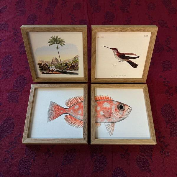 Sæt med 4 Mini Print - Earth, Sky & Sea