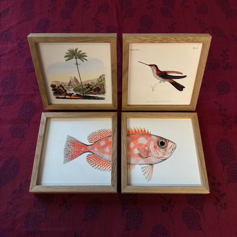 Sæt med 4 Mini Print - Earth, Sky & Sea