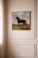 Majestic Black Horse