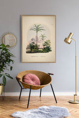 Astrocaryum Vulgare Cocos Nucifare