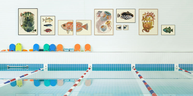 Blotched Bigeye Tail