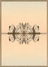 Spejling II