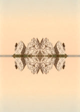 Spejling II