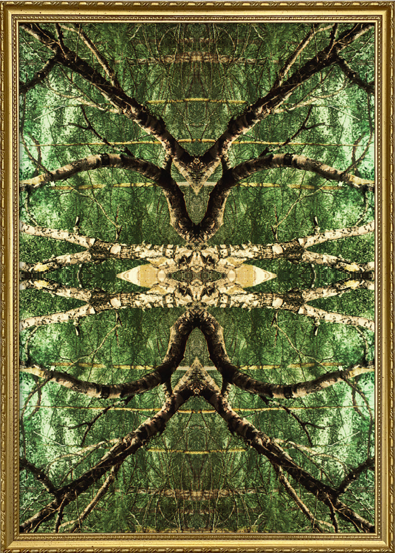 Spejling VII
