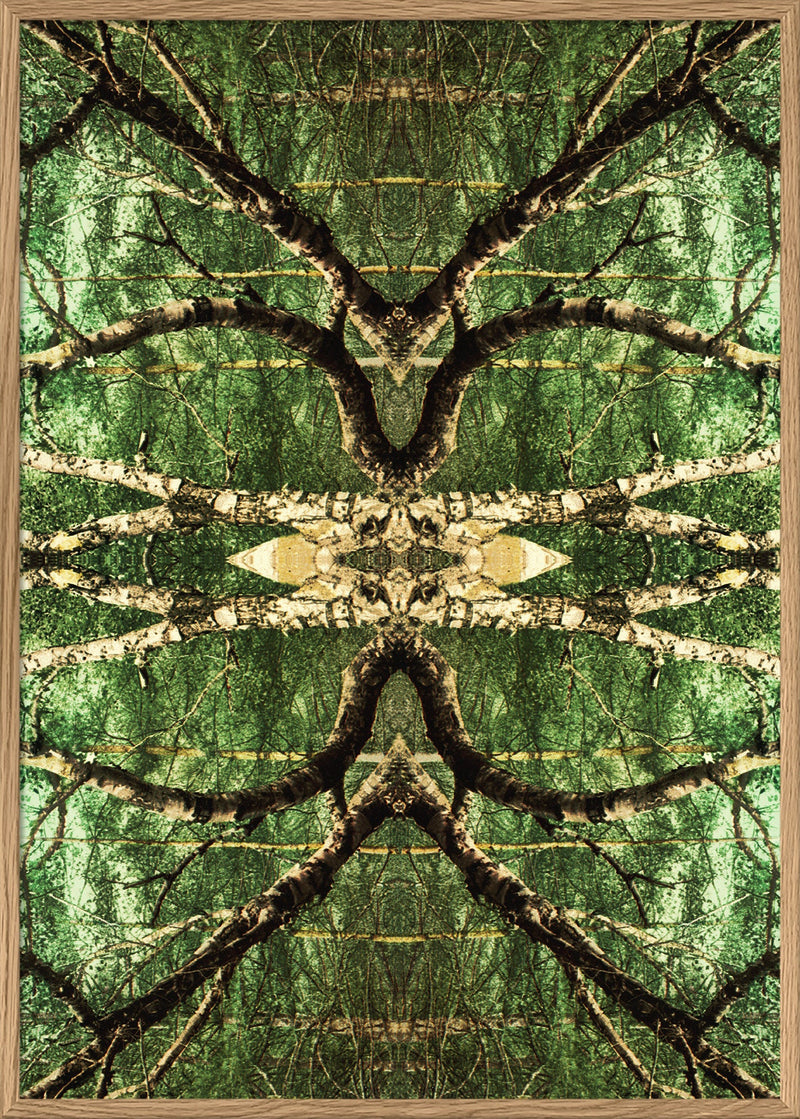 Spejling VII