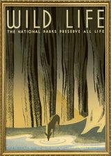 Wild Life