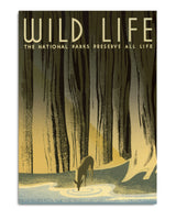 Wild Life