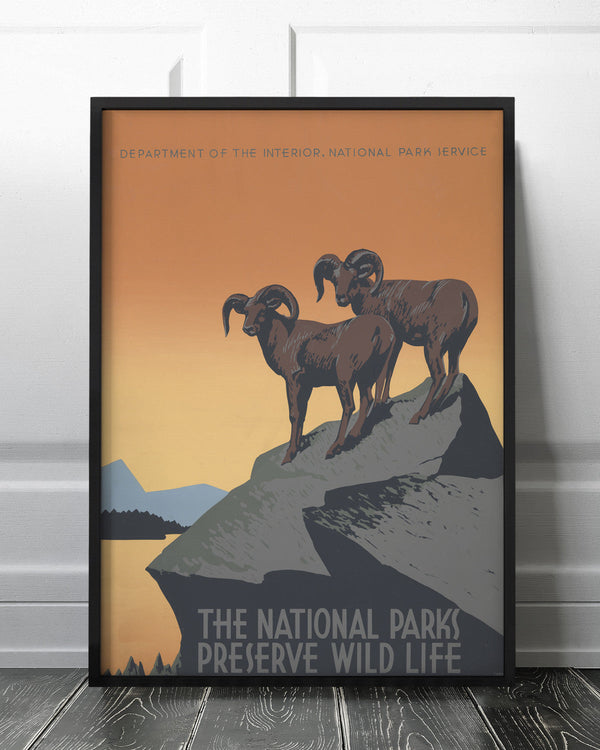 The National Parks Preserve Wild Life