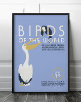 Birds Of The World