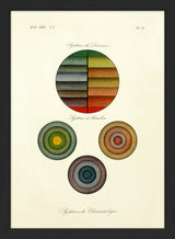 The Henslow System