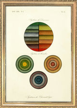 The Henslow System
