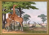 Giraffe & Gemsbok