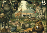 African Fauna Horizontal