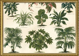 Oriental Plants Horizontal