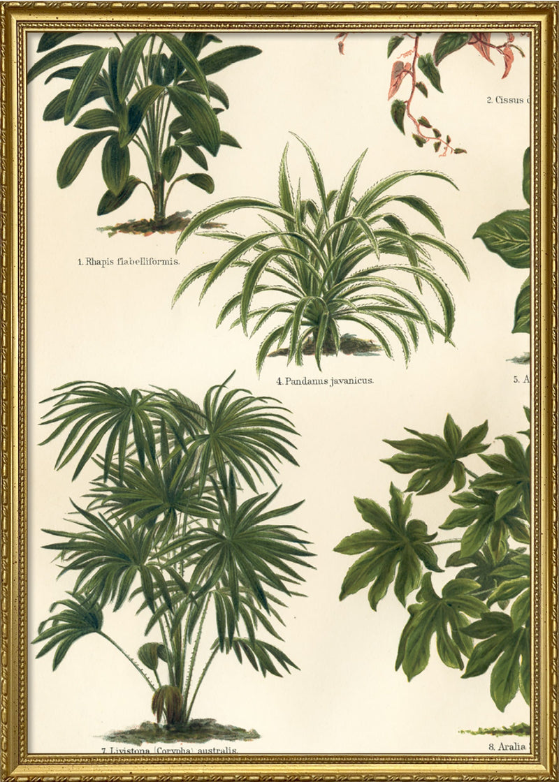 Oriental Plants Left Side