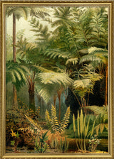 Ferns Left Side