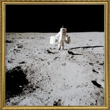 Apollo 11