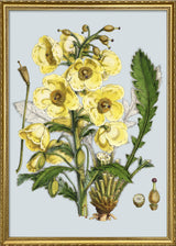 Yellow Flower