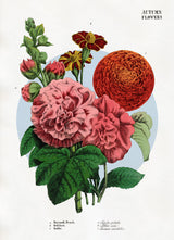 Autumn Flowers 1.