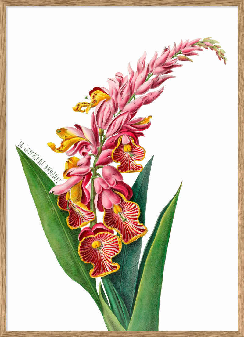 La Lavandine Amornée