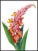 La Lavandine Amornée