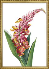 La Lavandine Amornée