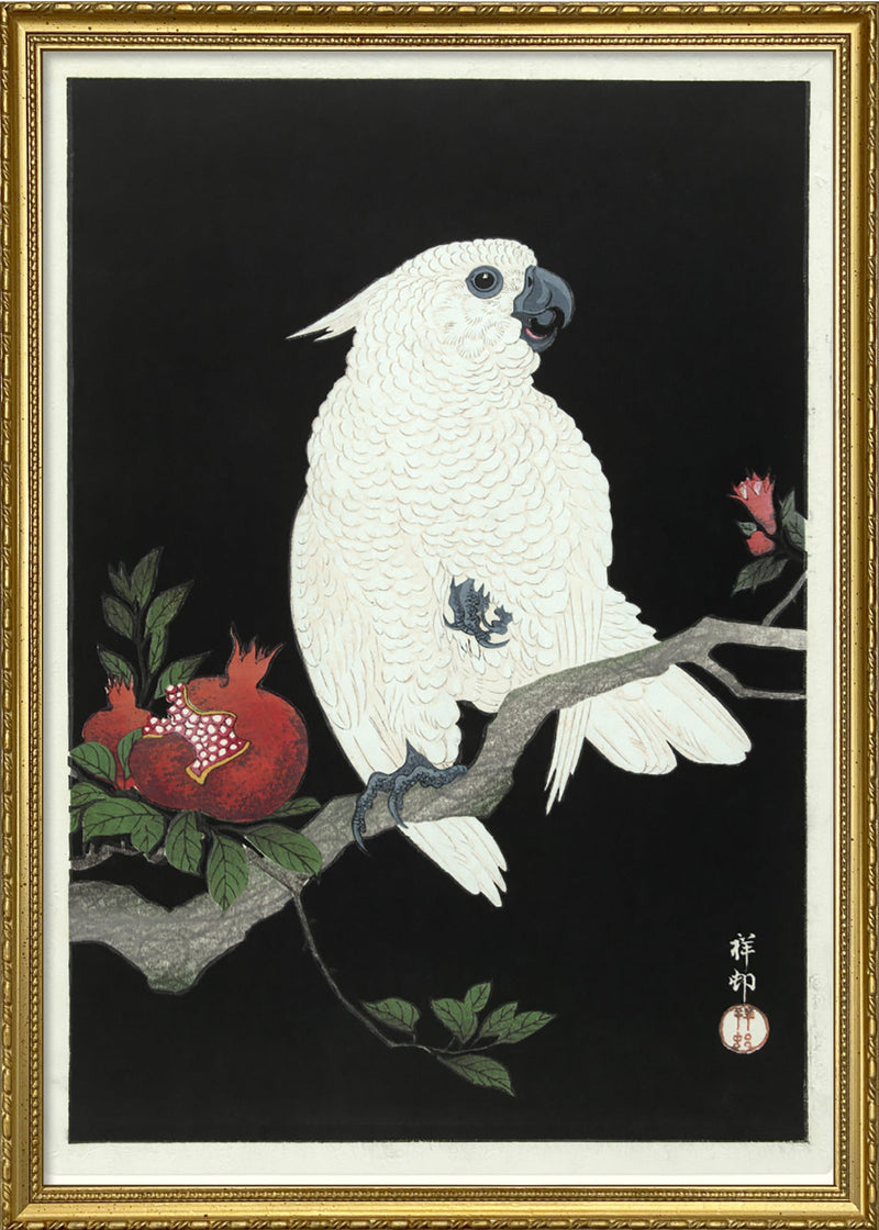 Cockatoo & Pomegranate