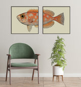 Dotted Orange Fish Head