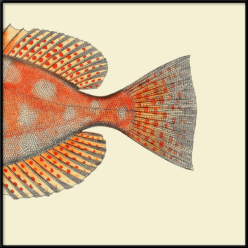 Dotted Orange Fish Tail