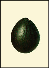 Avocado Closed