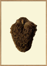 Cherimoya Closed