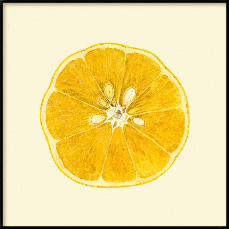 Lemon open